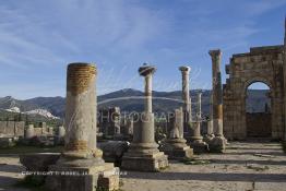 Image du Maroc Professionnelle de  Des piliers près du centre de Volubilis qui est l'un des sites les mieux préservés au Maroc et le plus visité. La cité romaine se situe à proximité de Moulay Idriss Zerhoun à une trentaine de km au nord-ouest de Meknès, photo prise le jeudi 8 Mars 2012. Volubilis ville antique berbère Walili (Lauriers rose) qui date du 3e siècle avant J.-C. capitale du royaume de Maurétanie fondé comme seconde capital sous le règne de Juba II. (Photo / Abdeljalil Bounhar)
 